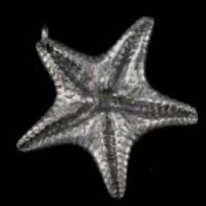 Jewellery- Starfish Pendant